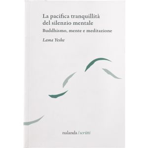 La pacifica tranquillità del silenzio mentale. Buddhismo, mente e meditazione.
